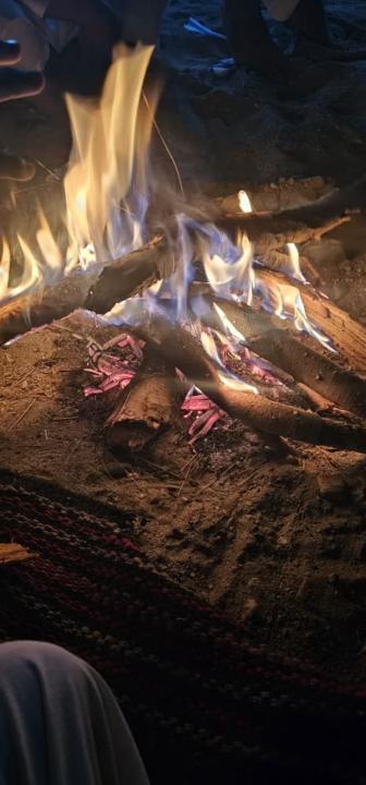 Bigo live id العولقي