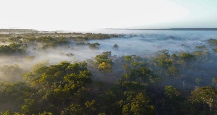 Panther Trackers Field Room