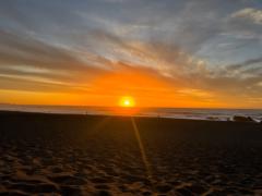 Macarena Escamilla pardo