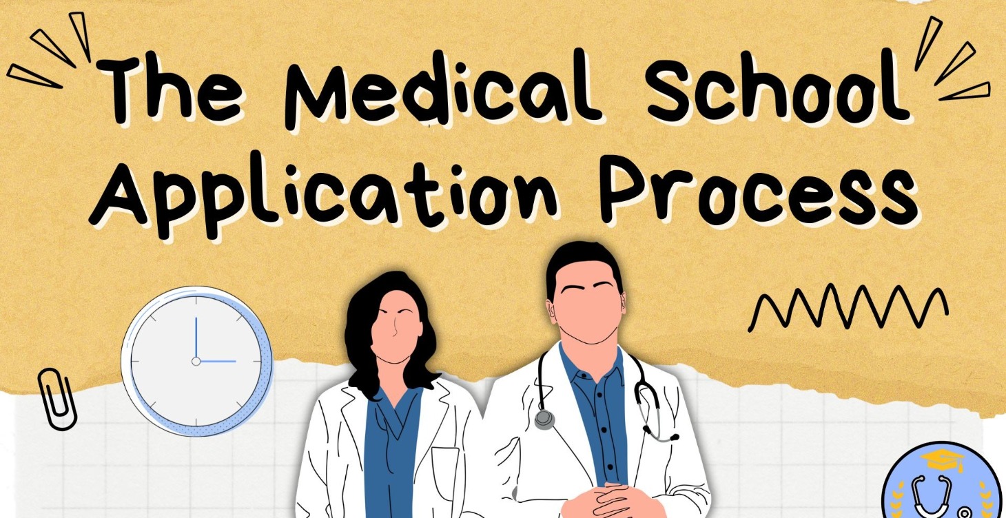 The Medical School Application Process & Timeline