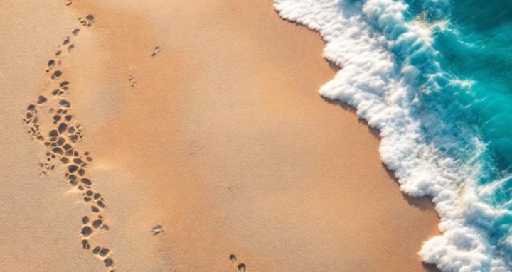 Overcoming Narcissistic Abuse