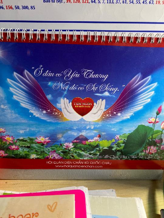 Nguyễn thị thu Hà