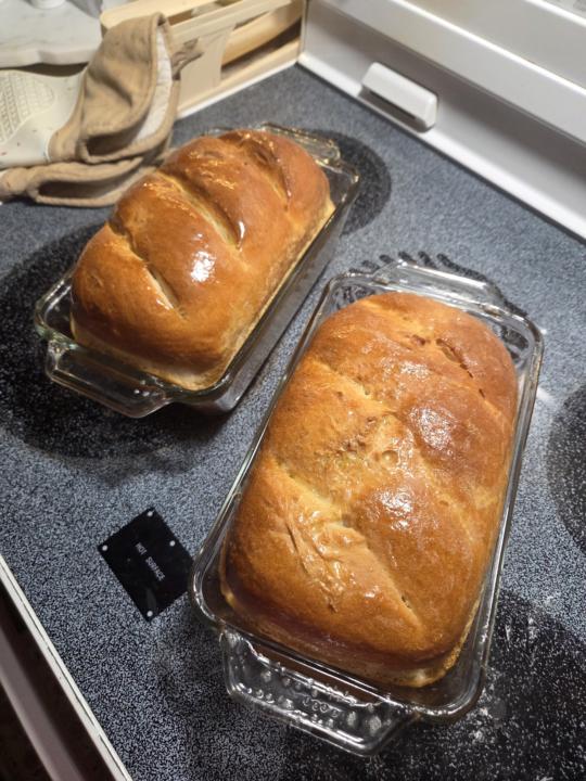 Let's see those bakes👀