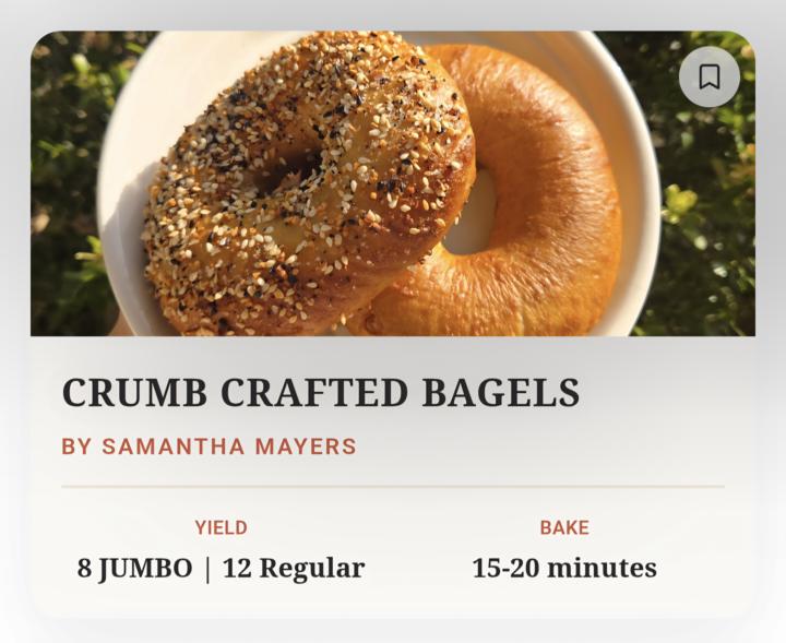 The Crumb Crafted Bagel Recipe is ✨️PUBLISHED✨️