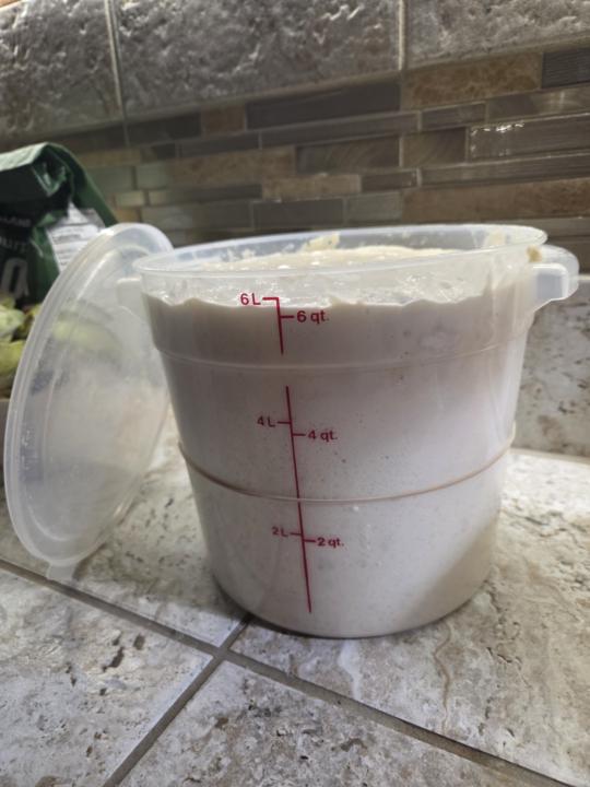 Starter Check-In🧐🤪