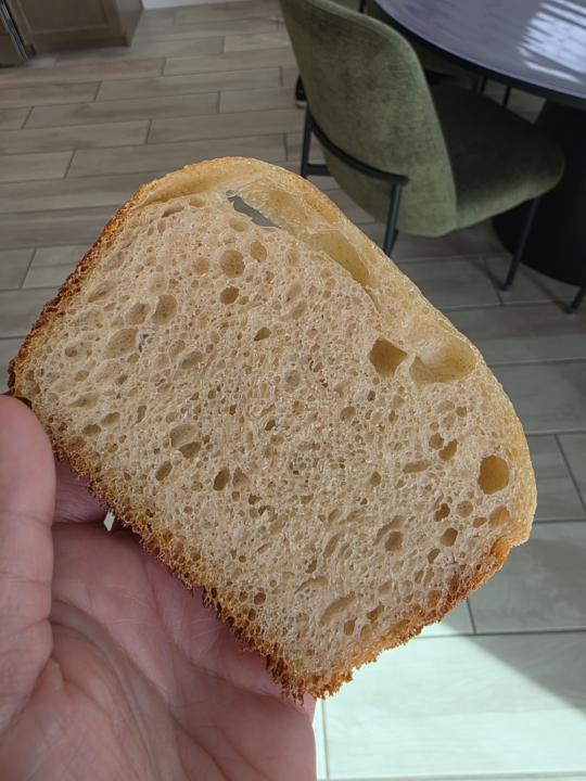 My 1st sourdough loaf