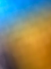 Y Z