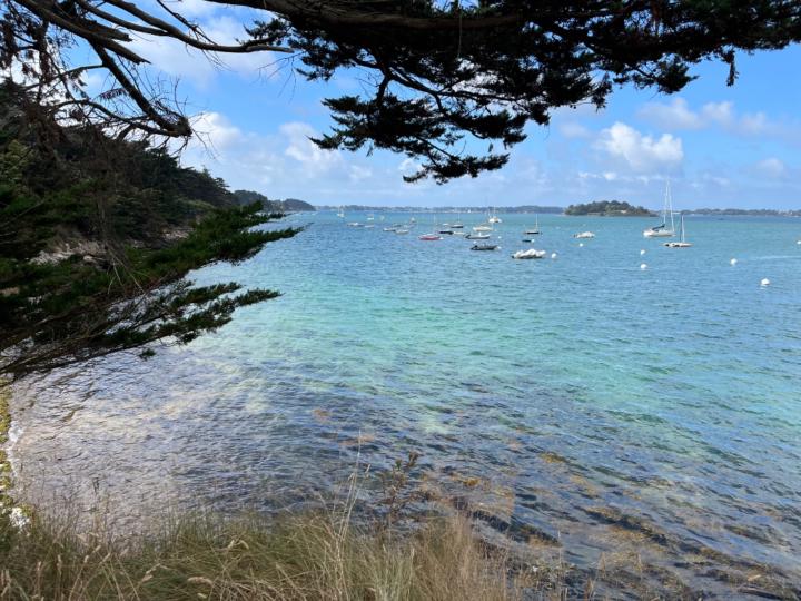 Biseur pollart Vanessa