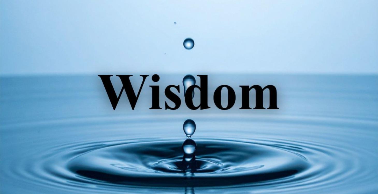 Insights & Inspirations