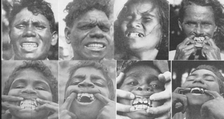 Primal Sonne Health Community 