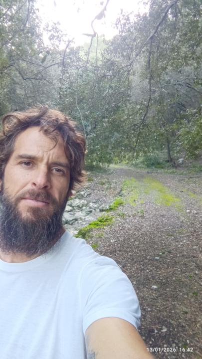 Pedro Álvarez de Sotomayor