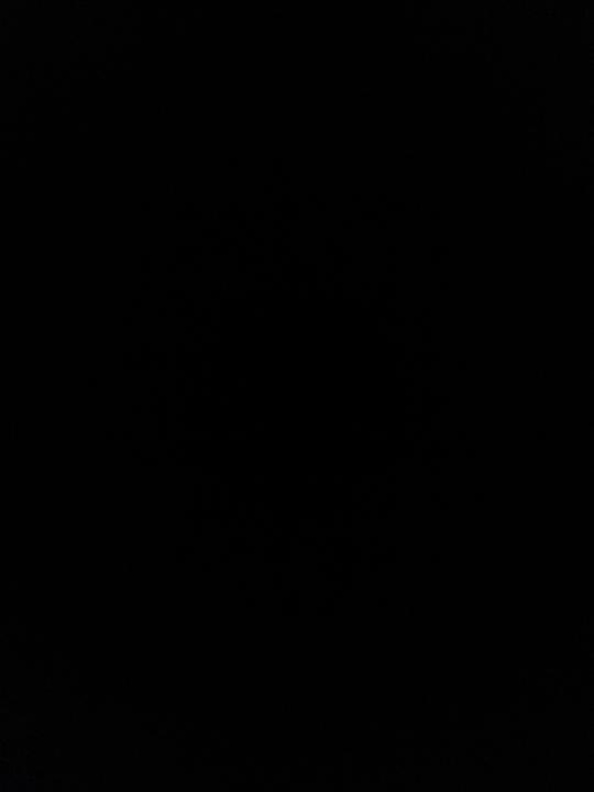 ליעם פטרזייל