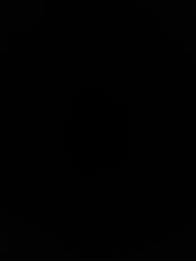 ליעם פטרזייל