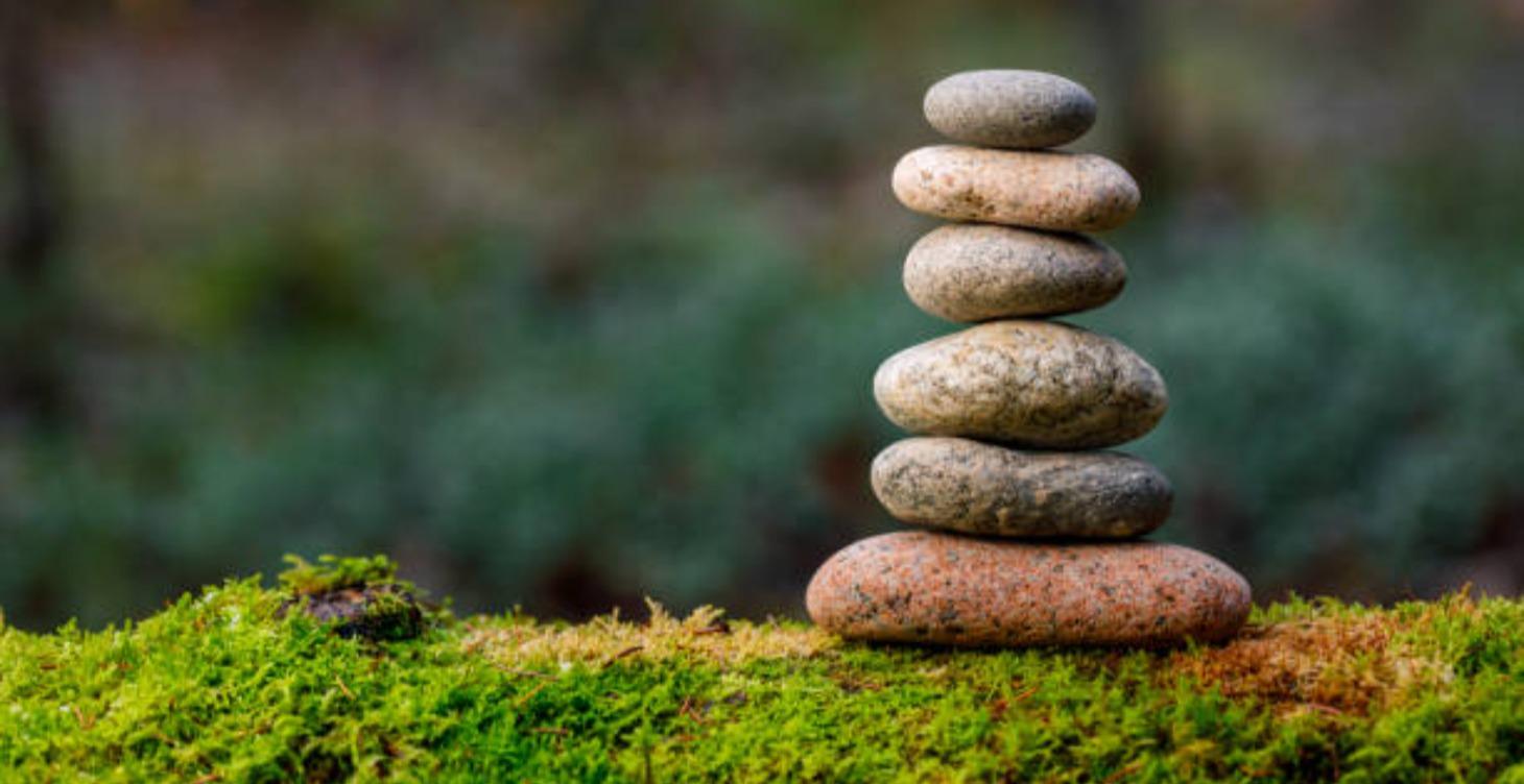 Foundations of Massage Therapy
