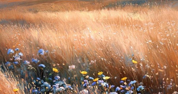 The Remembering Fields
