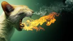 Riotwolftrading Riotwolftrading