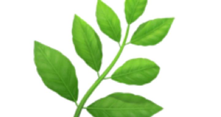 Build Your Thrive Team  ✨