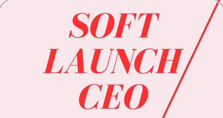 Soft Launch: CEO