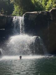 Noel Jörgensen Honarchian Saki