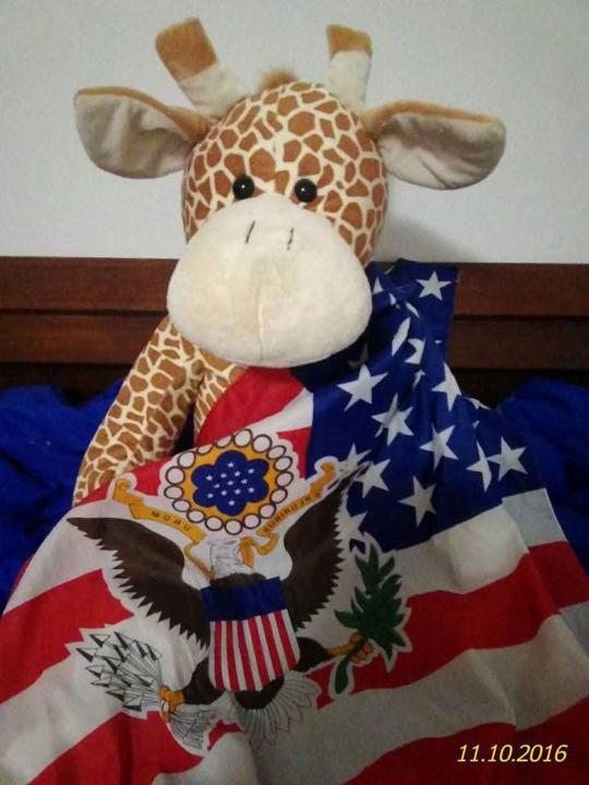 We the People! Giraffes too...