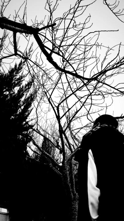 Гансүх Цагаанхүү