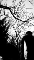 Гансүх Цагаанхүү