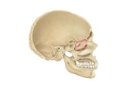 Gonzalo Madera Gutiérrez