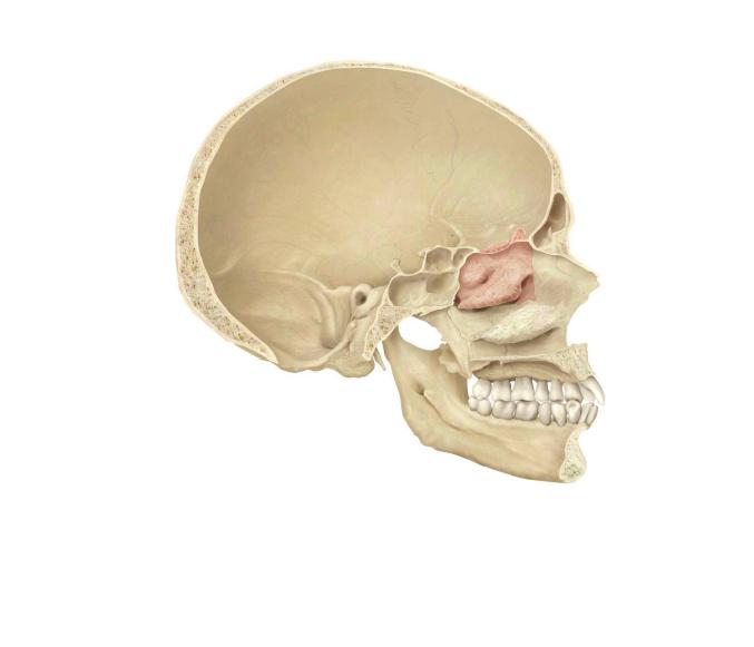 Gonzalo Madera Gutiérrez