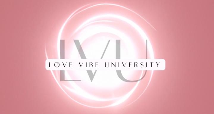 Love Vibe University