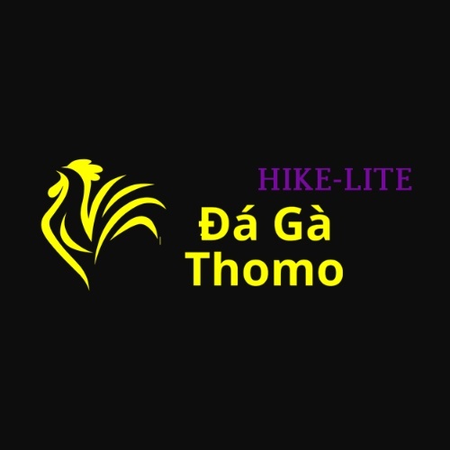 Đá Gà Trực Tiếp Thomo