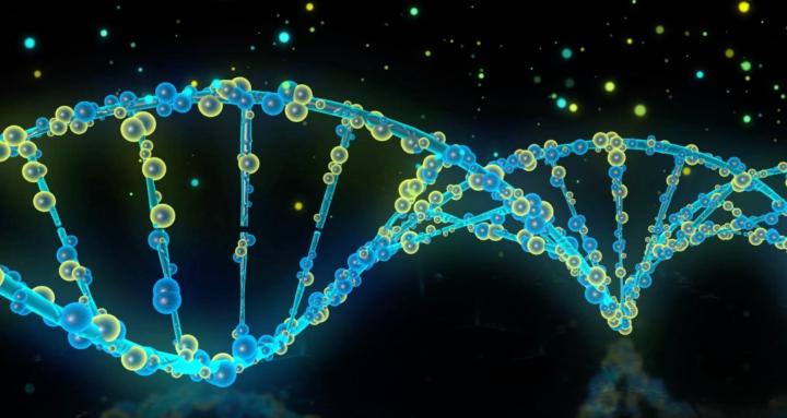 Heal Your Body, Mind & Soul