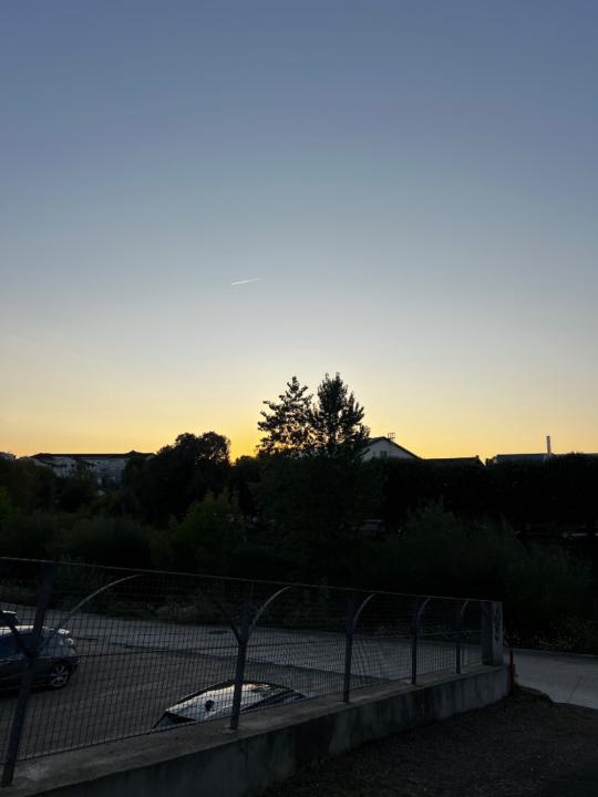 Davynda Burguiere-Manuka