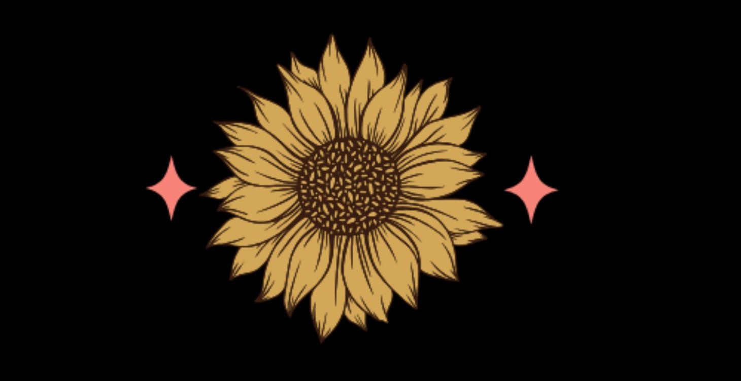 🌻 The Sunflower Reset