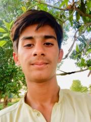 Work Murtaza