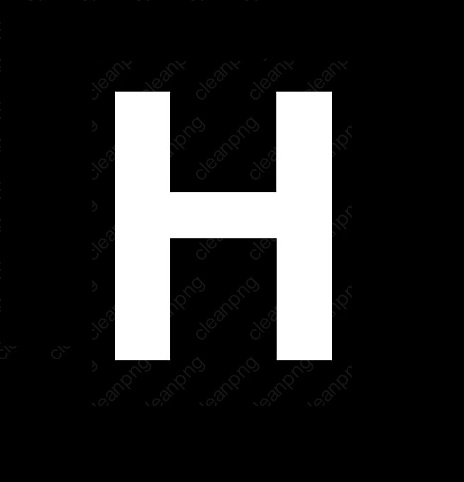Z Hassan