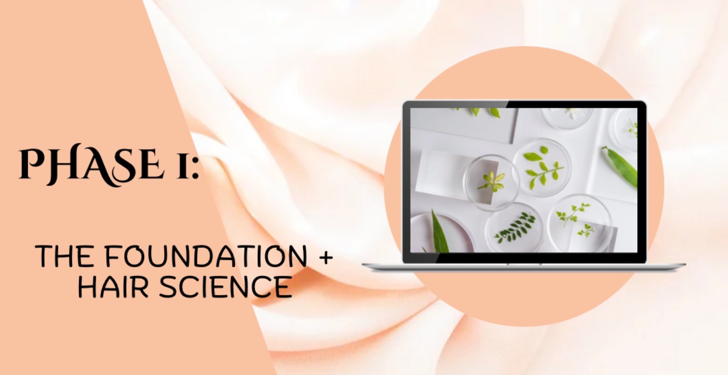 Phase 1: The Foundation + Hair Science 🧬