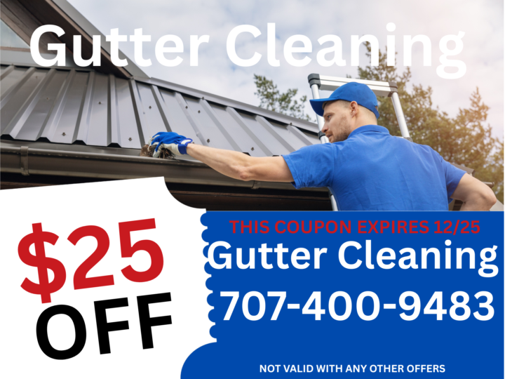 Gutter Cleaning
