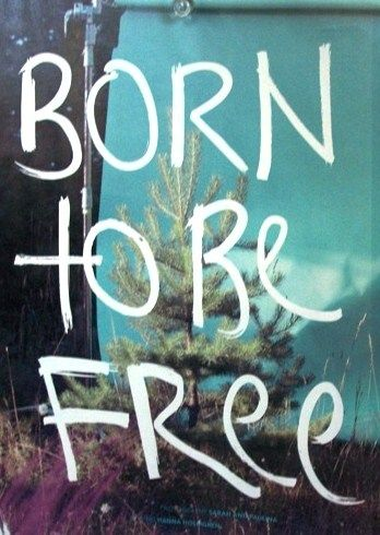 Born To Be Free