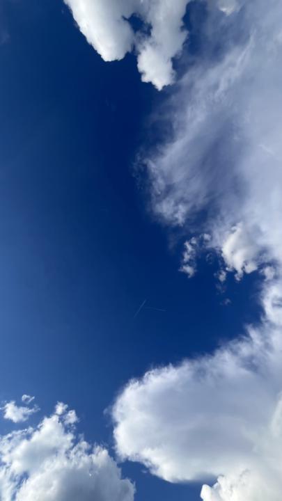 Involution vs. Evolution