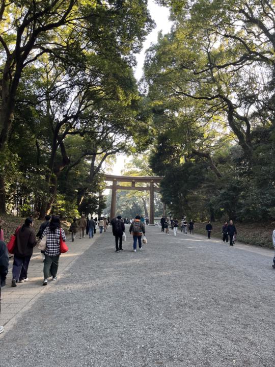 Writing a book in Japan ⛩️🌸👘