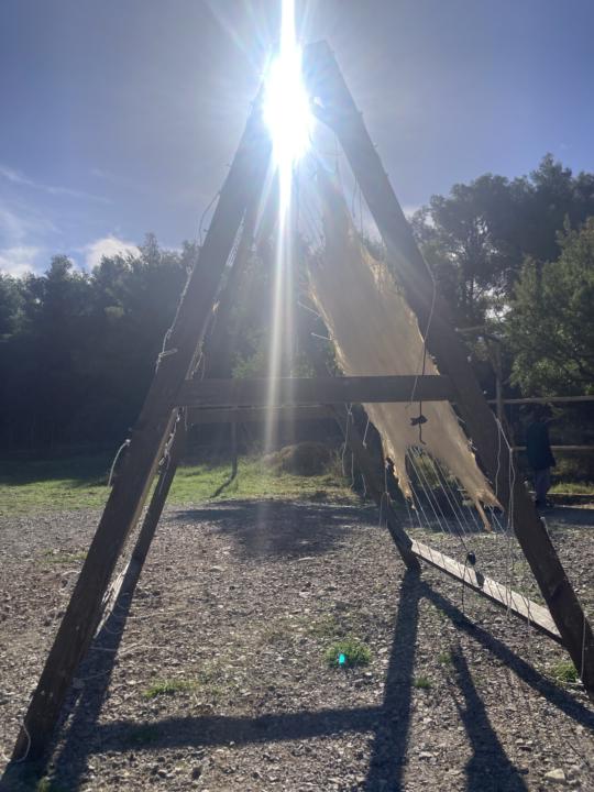 Processing of Deer 🦌 