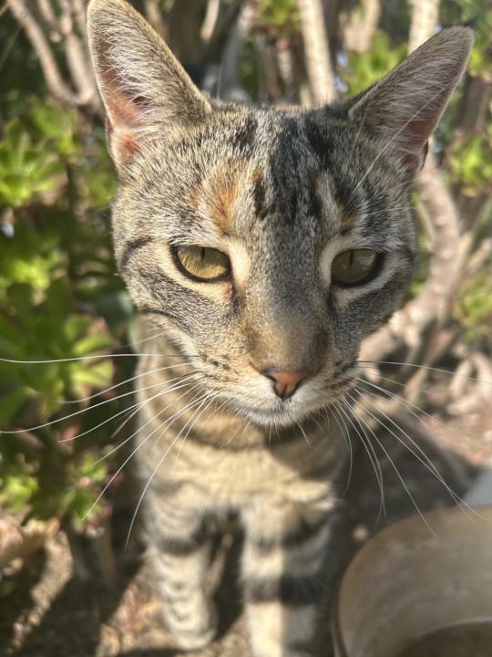 Highest form of love❤️