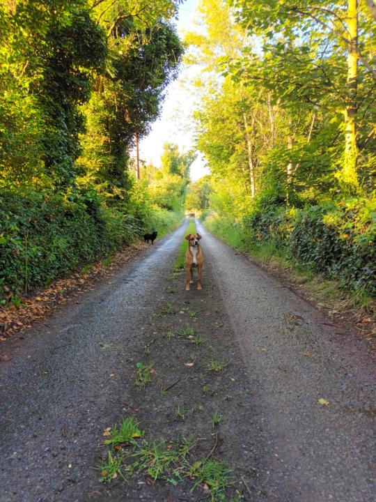 Would like some opinions