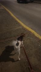 Maria Dolores Rodriguez Martin