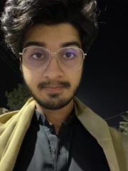 Aman Pirzada