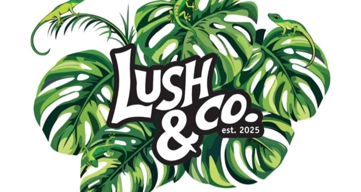 Lush & Co. Academy
