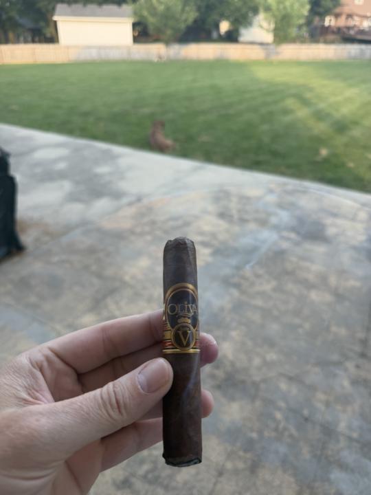 A shortie before it gets too dark…