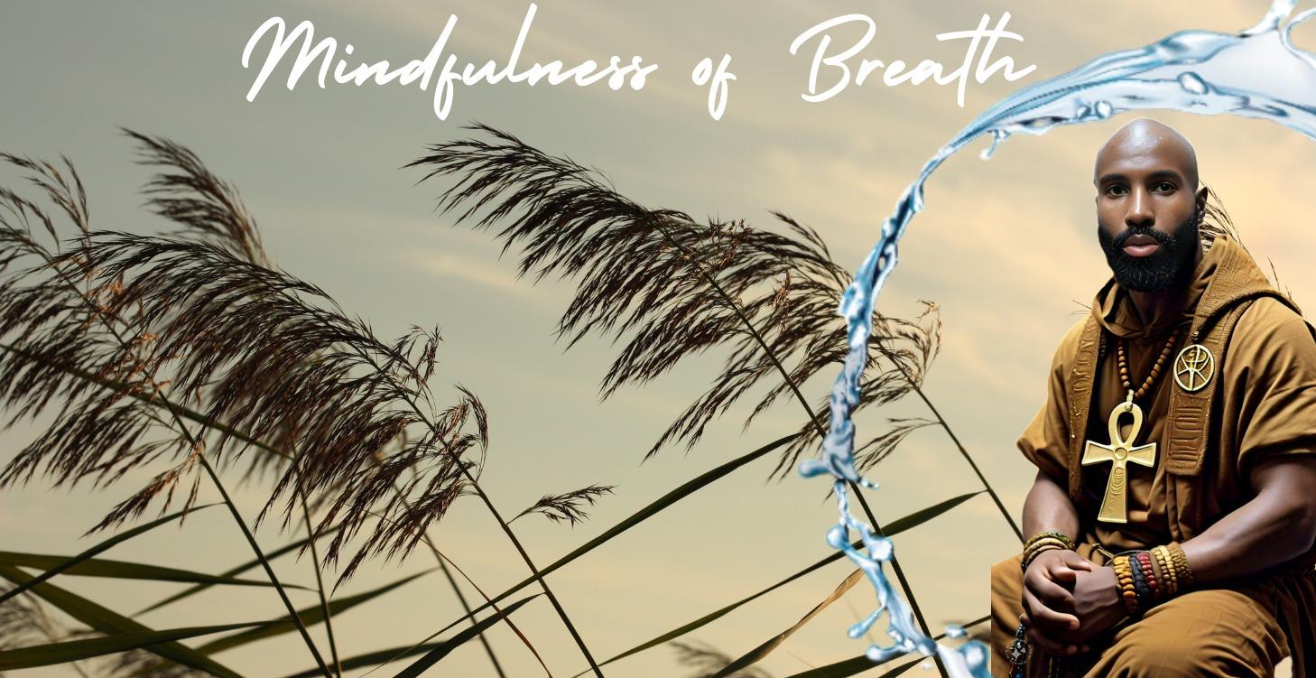 MINDFULNESS OF BREATH