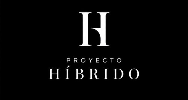 Proyecto Híbrido