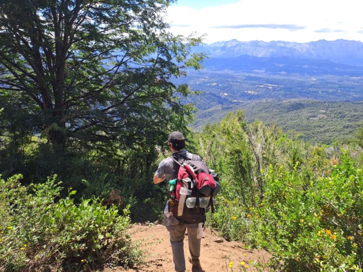 David Leiva Follonier